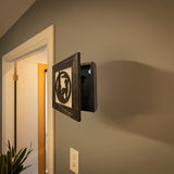 Concealed Gun Picture Safe - Secret Stashing - Concealment Furniture, Diversion Safes, Home Security Safes