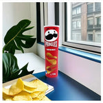 Original Flavour Fake Pringles Diversion Safe